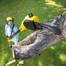 Best Lawn Pest Prevention  in Hanscom Af, MA